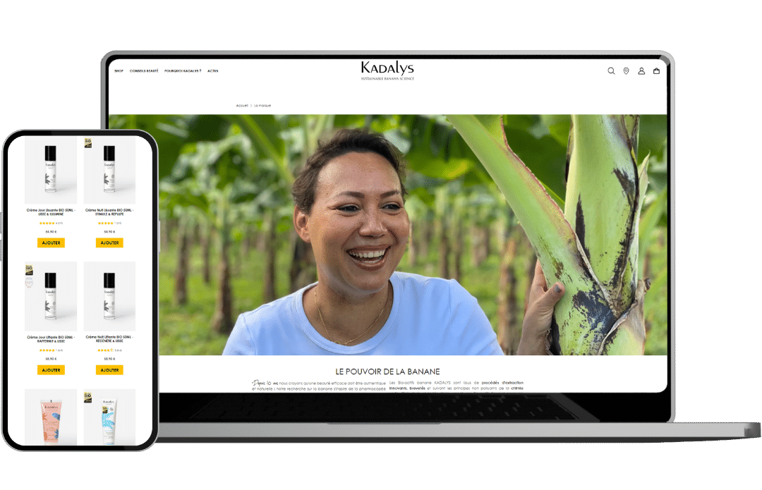 Kadalys - Référencement naturel (SEO) - Enjin Agence Web Cholet
