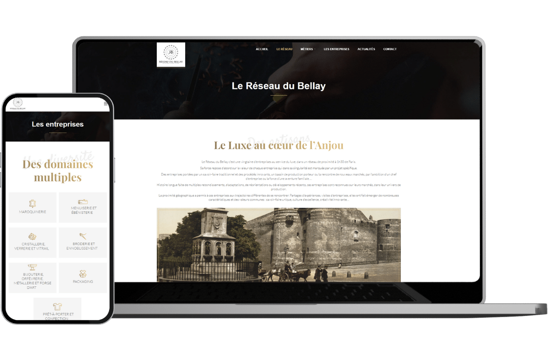 Réseau du Bellay - Référencement naturel (SEO), Création de Site Internet - Enjin Agence Web Cholet