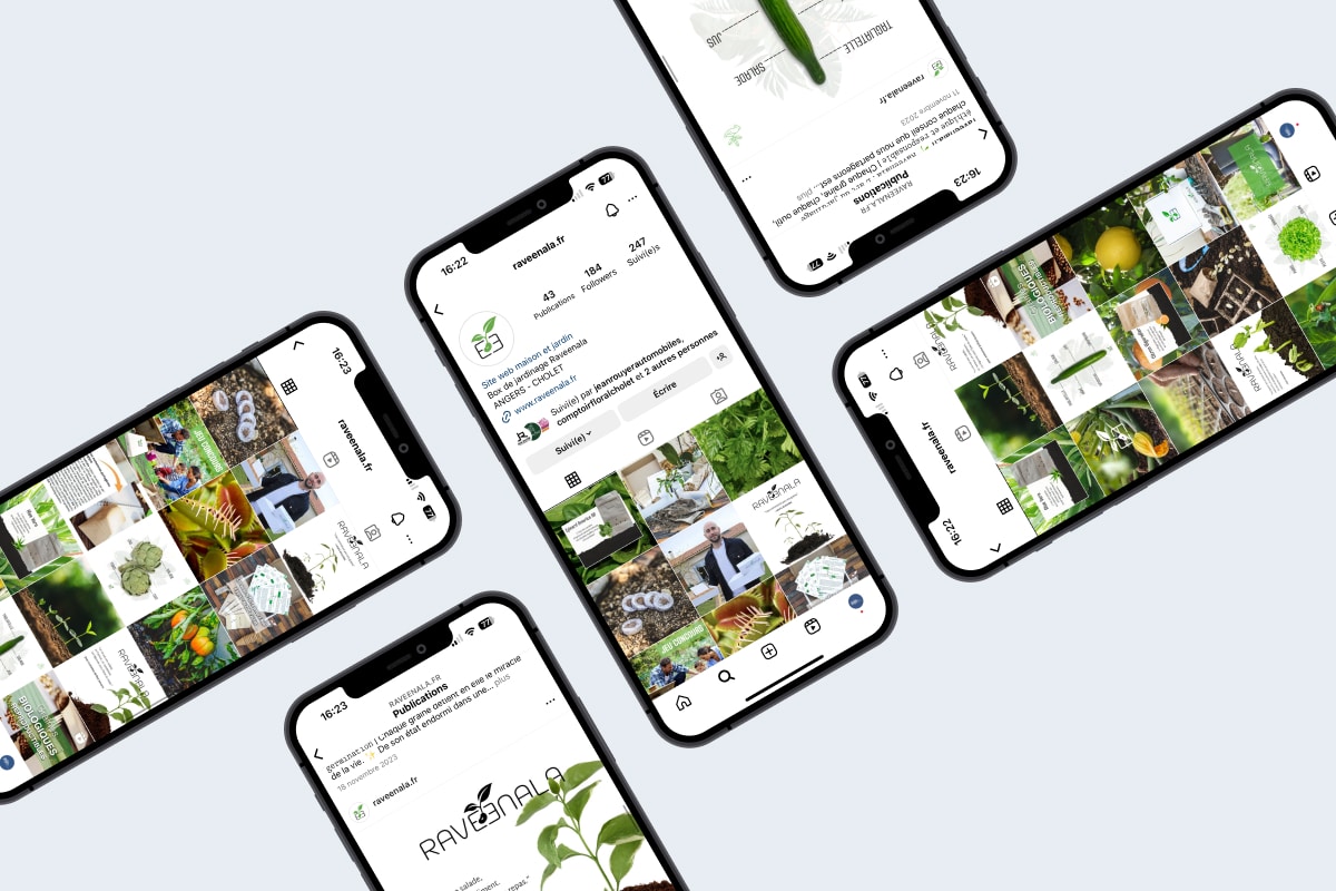 Raveenala - Gestion de Réseaux Sociaux - Enjin Agence Web