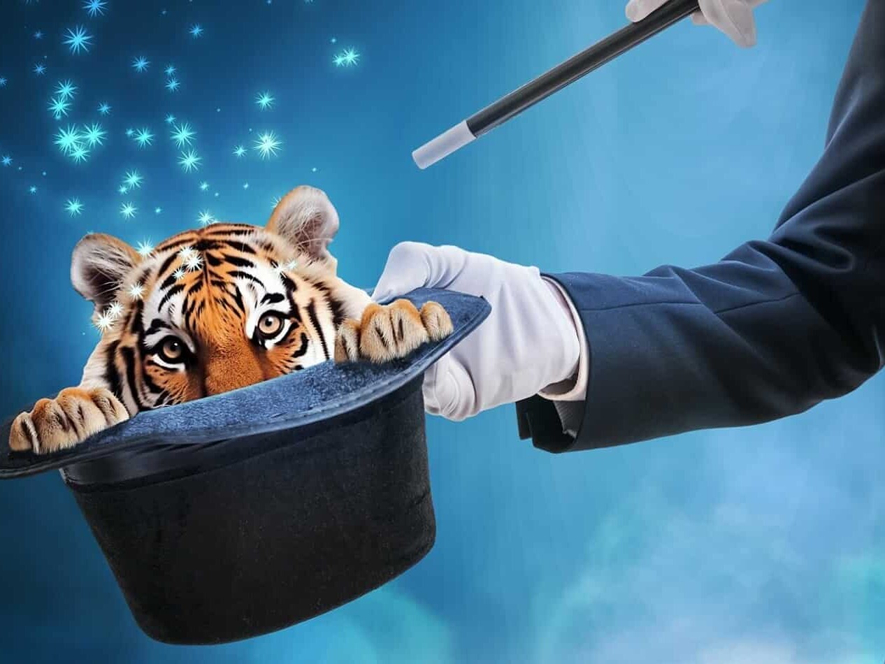 détourage expert : création site + seo par enjin agence web