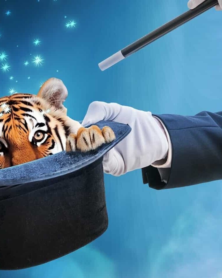 détourage expert : création site + seo par enjin agence web