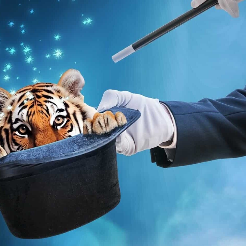 détourage expert : création site + seo par enjin agence web