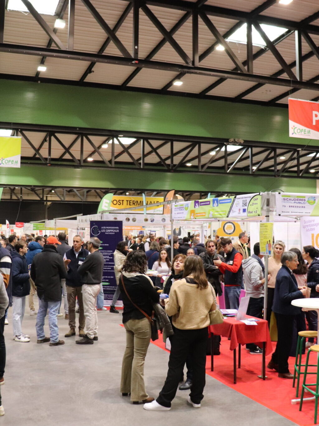 salon cofem